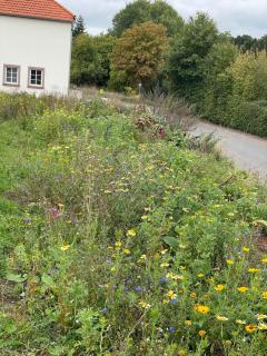 Ferienhaus "Spatzennest" Eifel Gerolstein Hunde ok - 5