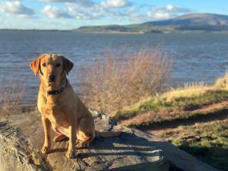 5 Bed in Askam-in-Furness 89226 - 1