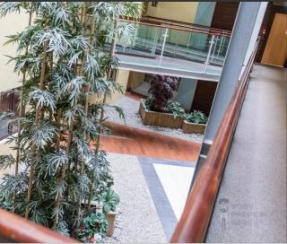 New prime city center 2 bedroom 2 bath duplex apartment with free secure parking - 3