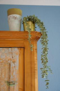 Ferienwohnung Grüne Auszeit mit Kaminofen und Terrasse - 1