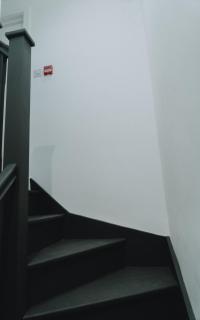 Peaceful Mind Zone - 1