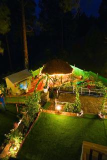 Pine Tree House - New Murree - 1