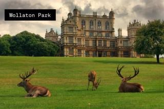 Lyme Villa - Near QMC & University of Nottingham - 2