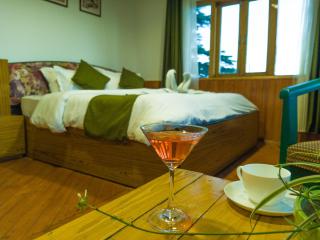 Paprika Cottage Landour - 1