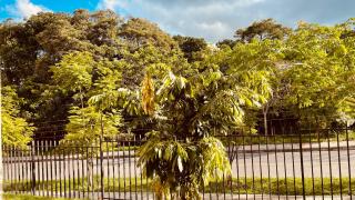 Nido en Ibague -  - 9