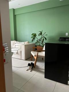 Complet apartment with air conditioning - 6