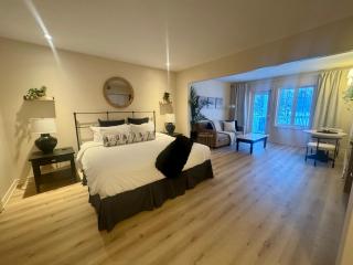 Newly Renovated Ski-In Ski-Out 1-Bedroom Condo with Pool, Gym, Sauna by Horseshoe Valley - 9