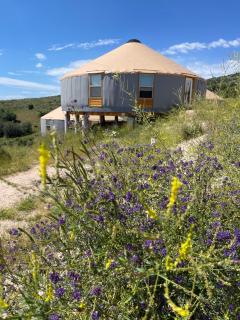 OsoBlu Yurts Group Booking - 6