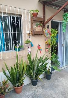 Aluguel para cop 30 - 4