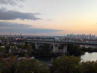 Notre Dame d'Orgemont - Gris 5 - 1