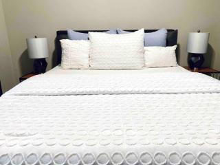 Serene Oasis in Ga Tech - 8