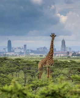 HERA kindaruma Homes - 9