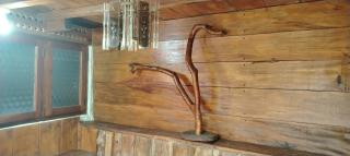 White Villa Ella - 6