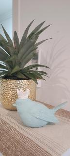 Byron Bay Nest Homestay - 4