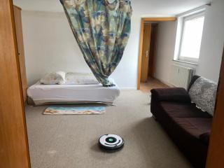 Brakel Ferienwohnung - 8