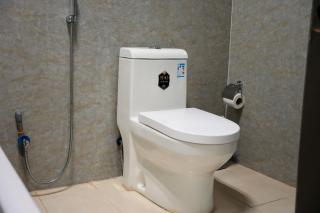 Quiet apartment, room, hall, bathroom and American kitchen - 9