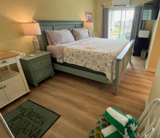 The Green Iguana Hotel - 8