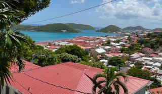 The Green Iguana Hotel - 1