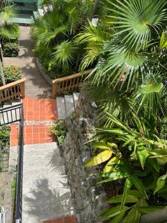 The Green Iguana Hotel - 2
