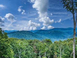 Pet Friendly Mountaintop 4-5 Bdrms Sleeps 12 -18 - 5