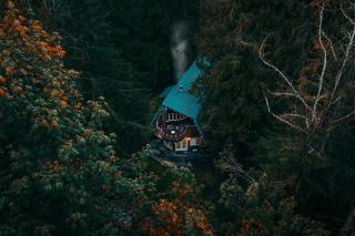 Alpine Lodge - 3
