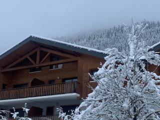 Spacious apartment with balcony in the French Alps - 0
