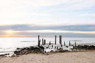 the tiny burrow a magical fleurieu escape - 4