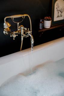 the tiny burrow a magical fleurieu escape - 3