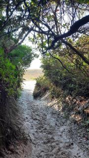 House of Art and Surfing - 5