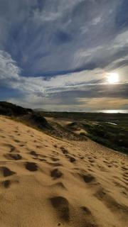 House of Art and Surfing - 1