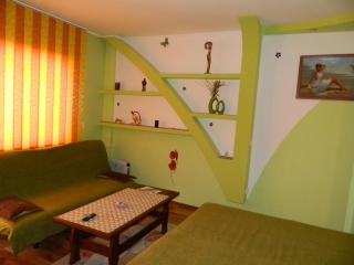 Cora Centru Pitesti - 8