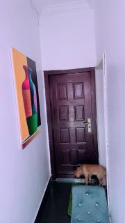 Luxe Cozy Comfort - 4