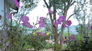 The Bloomsdale Country House - 5