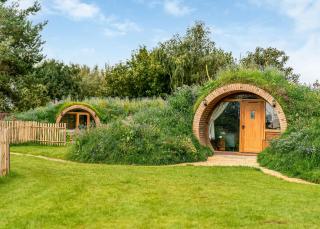 Luckington Burrows - 6