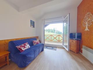 Appartement confortable au pied des pistes - 6 pers - FR-1-834-14 - 6