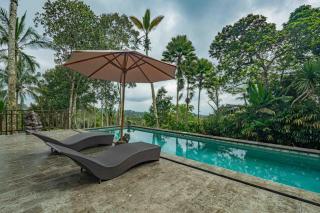 Alassari Plantation - 8