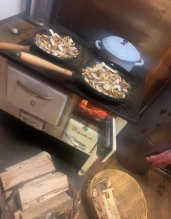 Almhütte Kärnten - 9