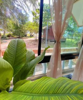 Nirvana By the Sea - 5