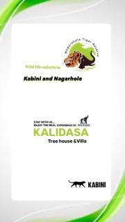 Kalidasa Tree House and Villa, Wayanad - 8