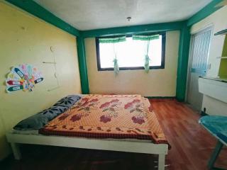 Mountain Pine Breeze - 9