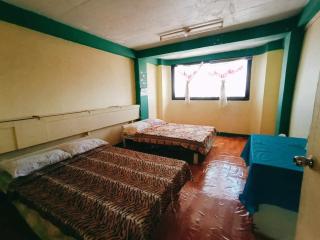 Mountain Pine Breeze - 7