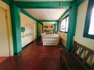 Mountain Pine Breeze - 1