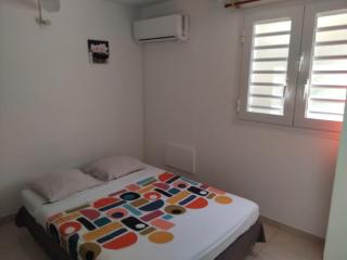 Abricotier à proximité des plages du sud - 8