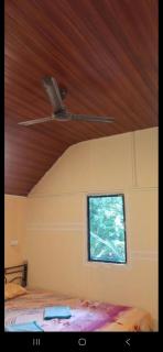 Green Garden Resort - 0