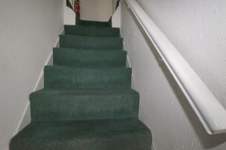 Honeysuckle Cottage - 3