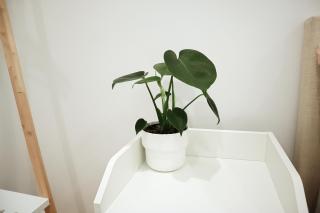 Queen room with shared bathroom - 3