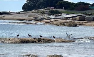 Seascape Retreat - 3