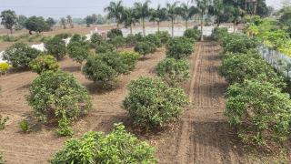 Neevah Farm - 1