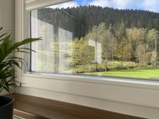 Ferienhaus Hirschle | Sauna | Hunde | Zaun - 5