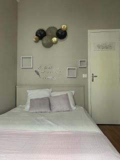 Appartement haussmannien au cœur d Orléans - 2